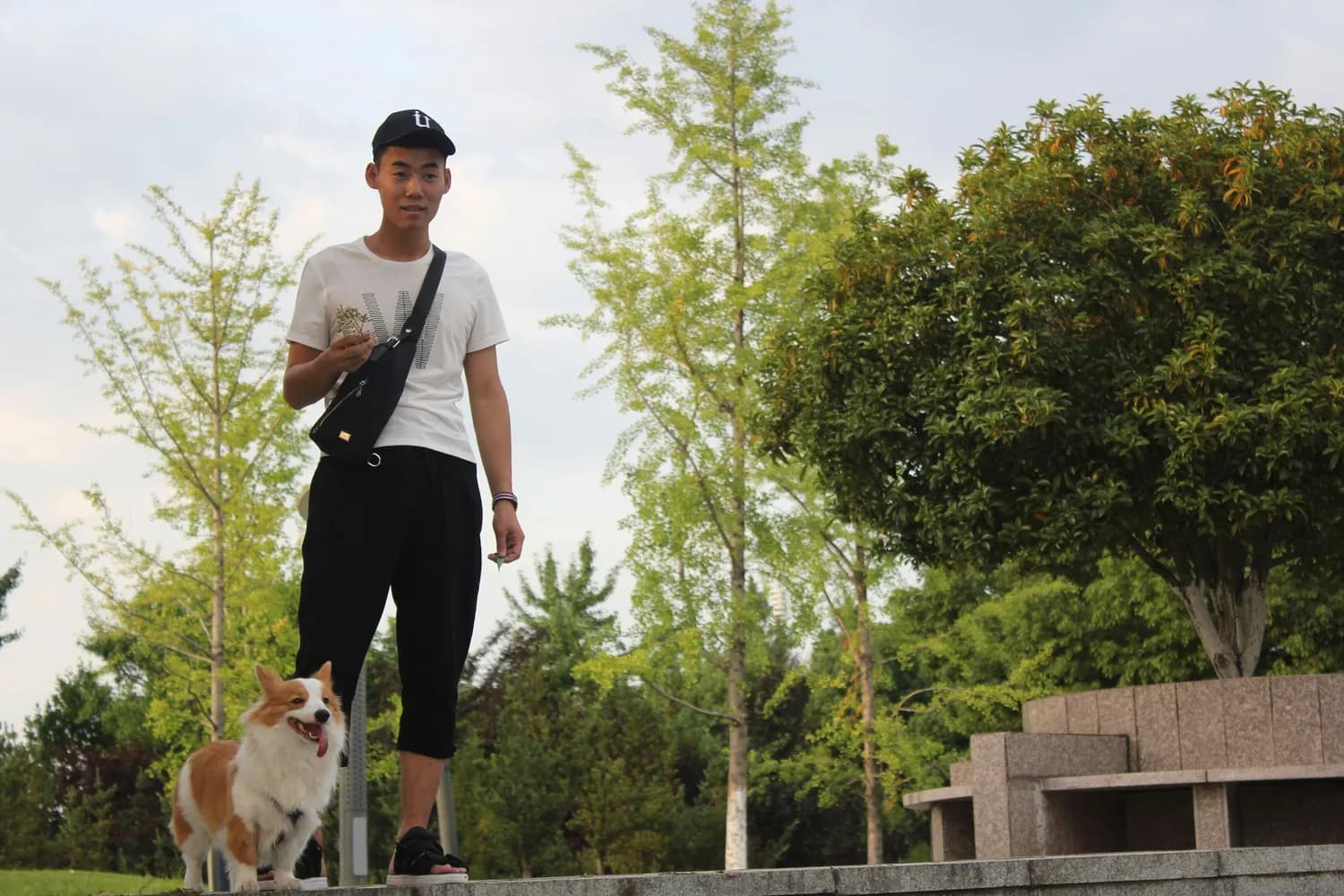 揭秘狗子的社交圈：如何成为网红宠物？