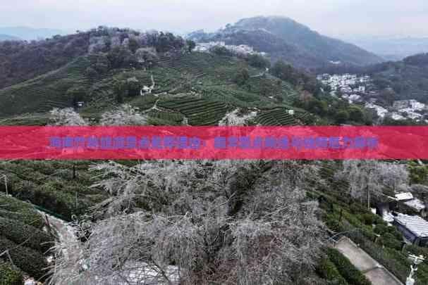 海南竹林旅游景点推荐理由：精华景点精选与独特魅力解析