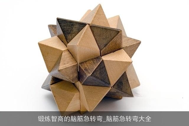 锻炼智商的脑筋急转弯：挑战你的思维极限