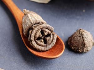 礞石滚痰丸禁忌症与注意事项有哪些？