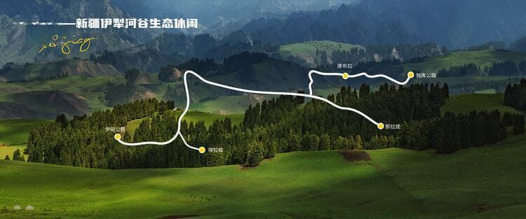 穿越绿海 去往心中的阿勒泰 自驾新疆推荐这十条精品线路