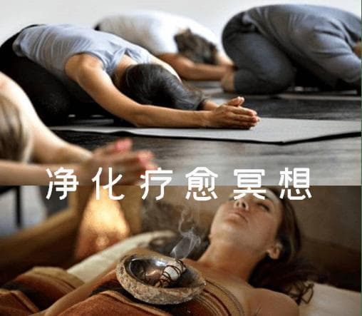 白鼠尾草能改善运气？——从科学角度分析其功效