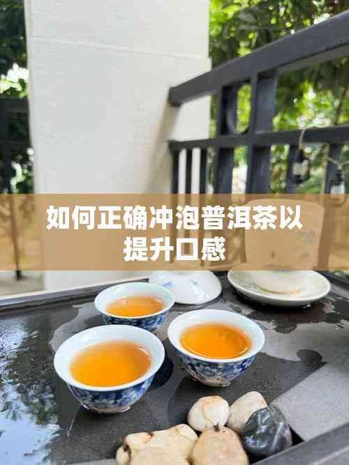 如何正确冲泡普洱茶以提升口感