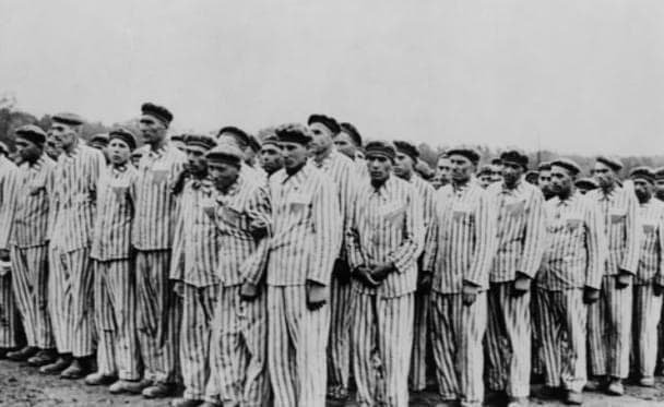 野蛮如何被包装成文明？德国法西斯种族理论对民众的蛊惑