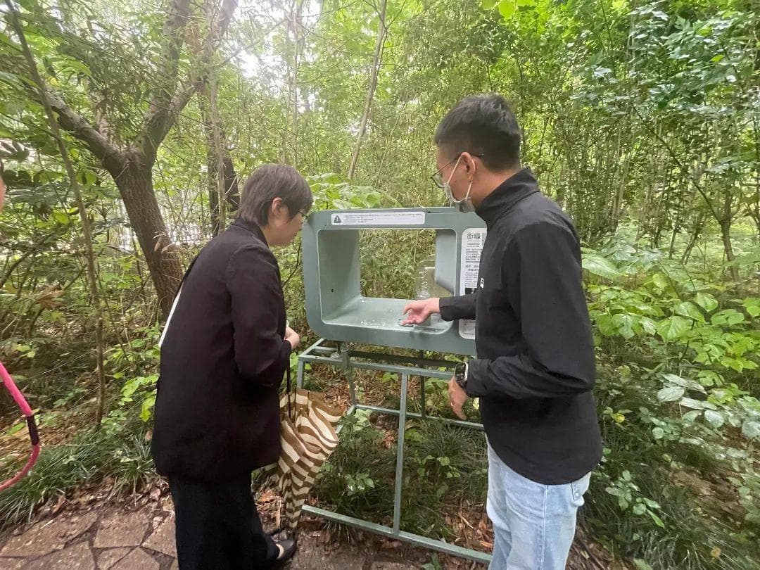 上海社区创新流浪猫管理：组建“御猫联盟”实现人猫和谐共处