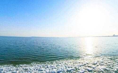 梁子湖（岛）生态旅游区：湖北第二大淡水湖的自然人文之美