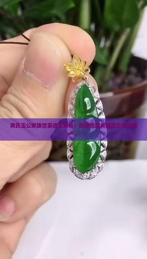 黄氏玉公家族世系谱系解析：完整梳理黄氏玉公宗族源流与发展脉络
