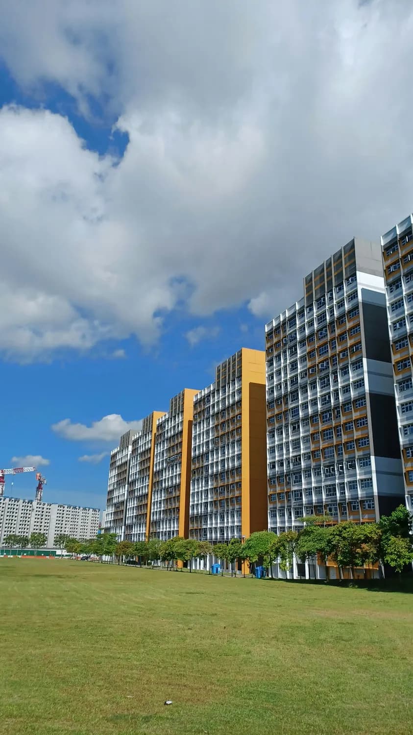 人大附中海口实验学校：多语种教学助力海南教育新高地