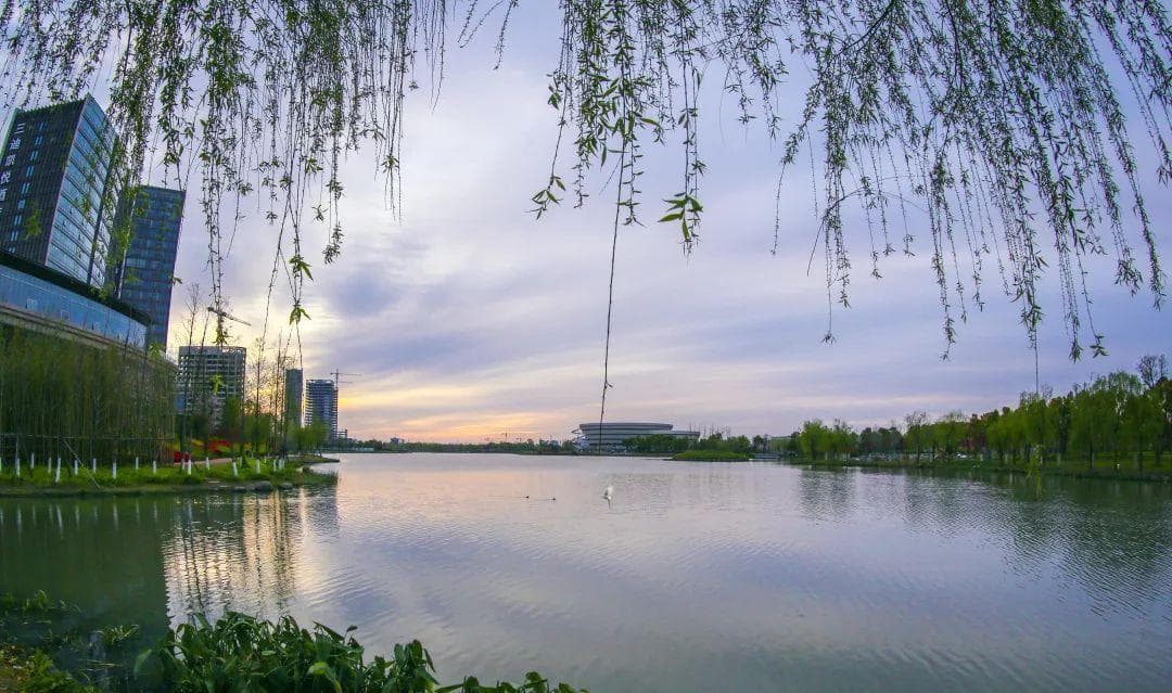 五龙湖畔，不可错过的美景