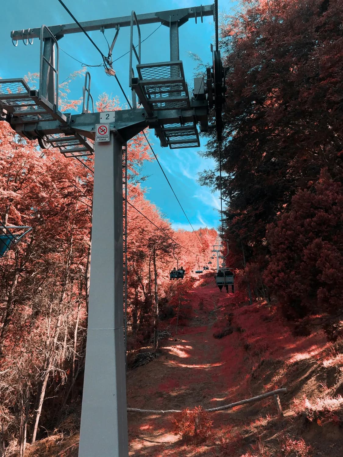 秋游打卡：北高峰索道+灵隐寺攻略