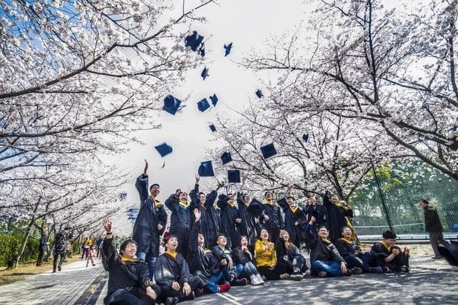 鼓励大学生进入家政行业，这十几年寒窗苦读的意义又在哪里呢？