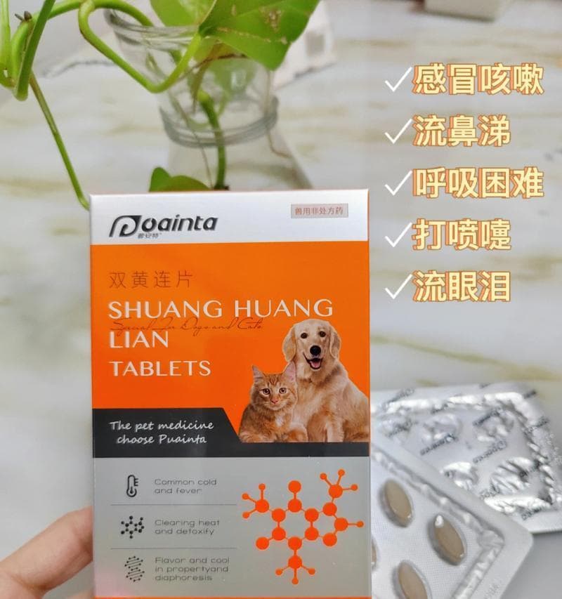 狗狗感冒药有哪些？人用的可以吃吗？（探讨狗狗感冒药的种类及可用性）