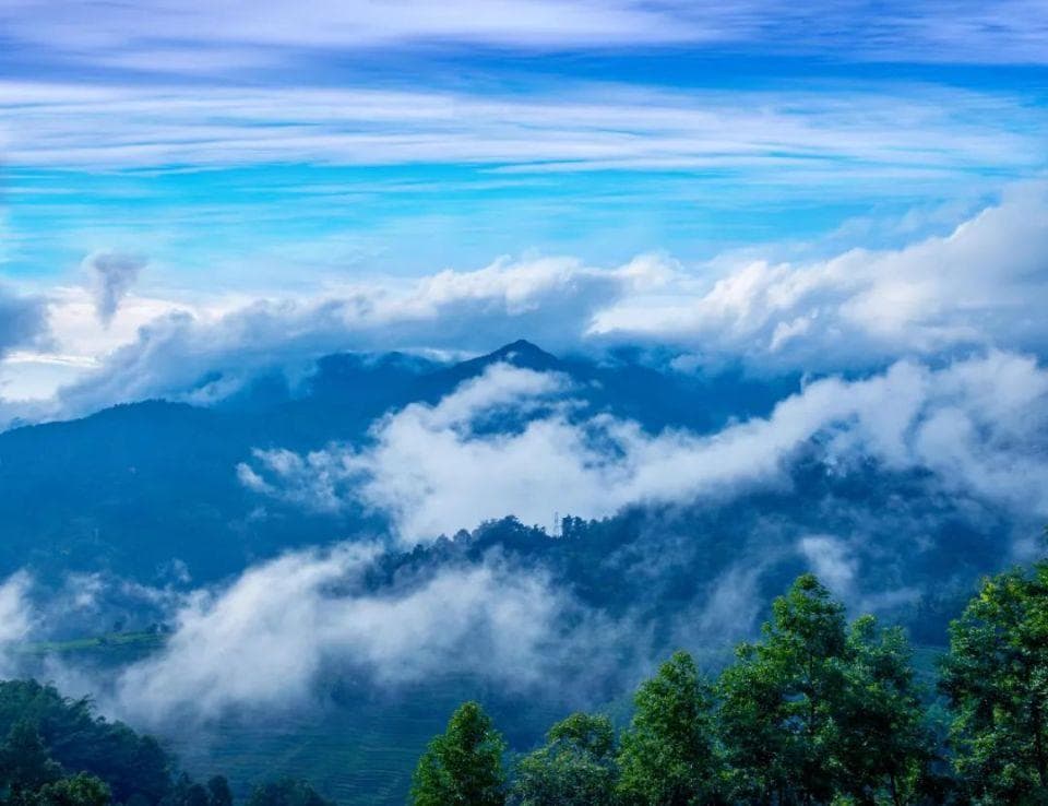 哀牢山是一座怎样的山？