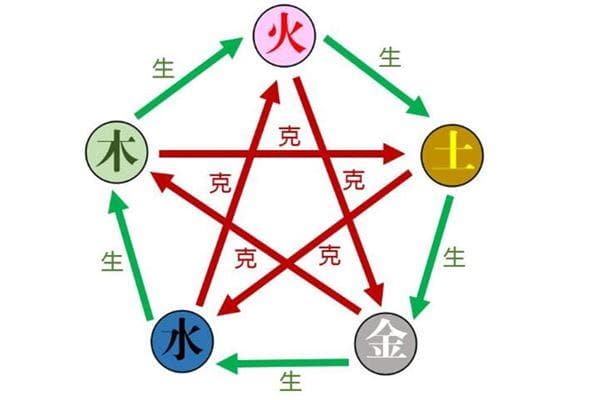 探秘五行学说：木元素的意象与独特属性