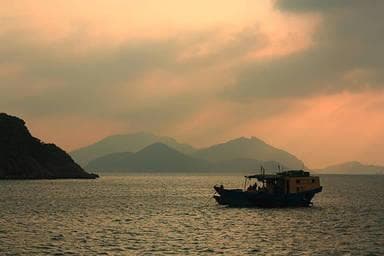 保险公司如何定损和赔偿，详解流程和注意事项