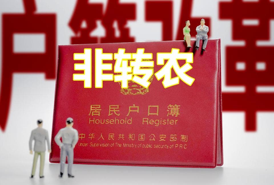 好消息！“非转农”限制已打开，不只是宅基地继承，满足条件即可