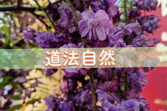 2024年12月份搬家入宅黄道吉日，2024年12月乔迁吉日
