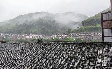 法律对于宅基地有哪些规定？