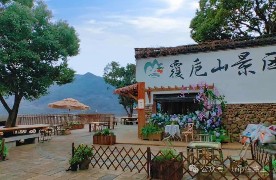 浙江这座三市交界的名山宝地，梯田鎏金，花海烂漫，入选全国十大赏花榜
