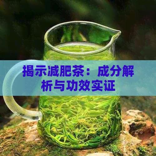 揭示减肥茶：成分解析与功效实证
