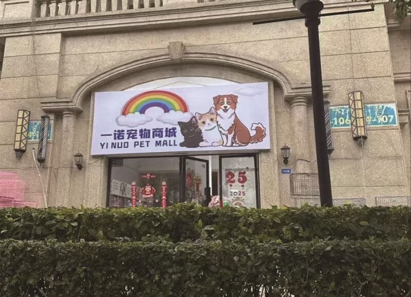 卖的狗3天检出细小病毒，5天不到死亡……这家宠物商城有何“猫腻”？