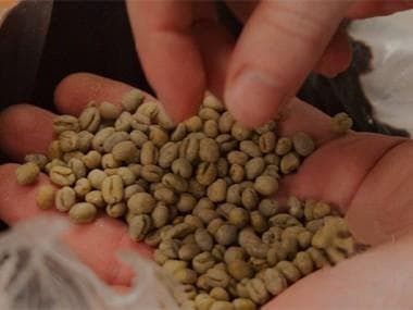 咖啡加工迎来技术革新潮，品质标准成行业发展瓶颈