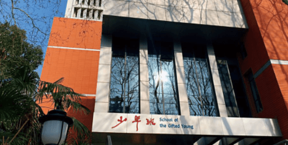 2024中科大“少创班”竞赛信息公示及入围考试通知，信息类奖项比例增加至33%