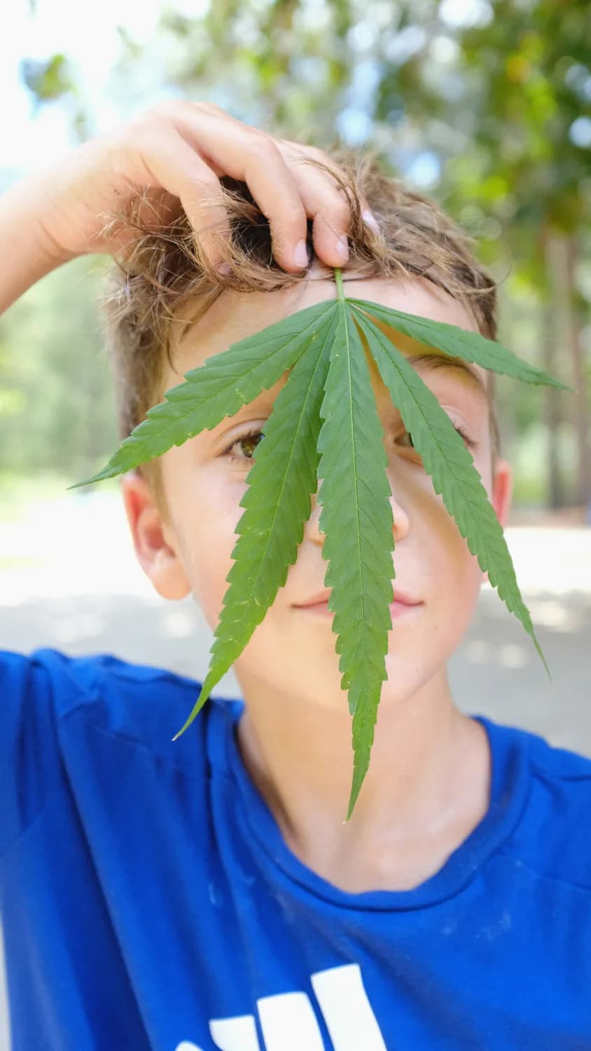 大麻和阿片类药物：青少年心理健康的隐形杀手