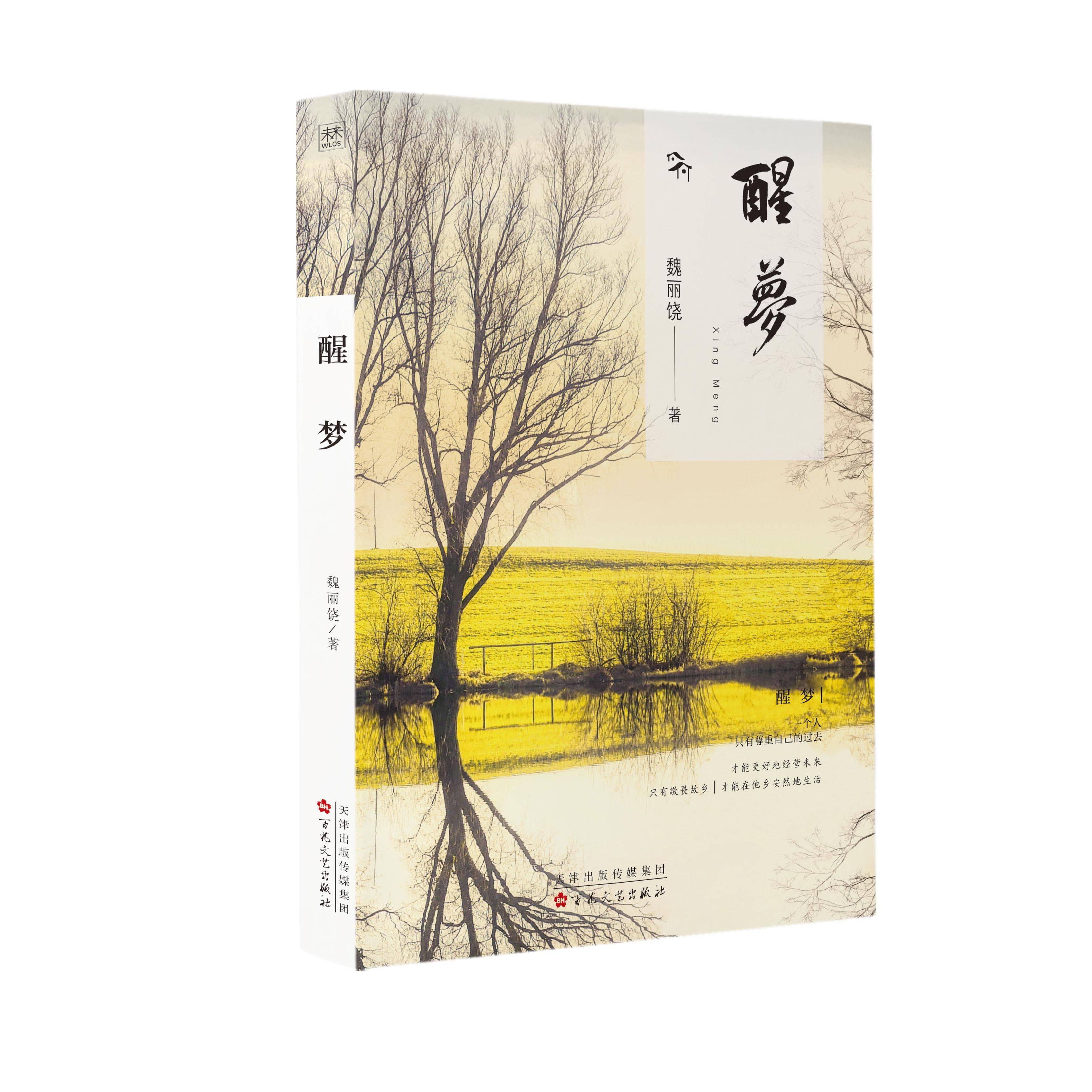 《醒梦》：一部关于乡愁与自我救赎的散文集