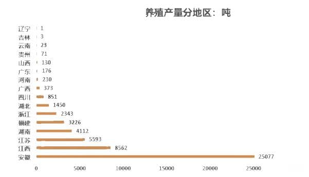 2024年象拔蚌市场前景分析：我国安徽省象拔蚌市场产量25077吨