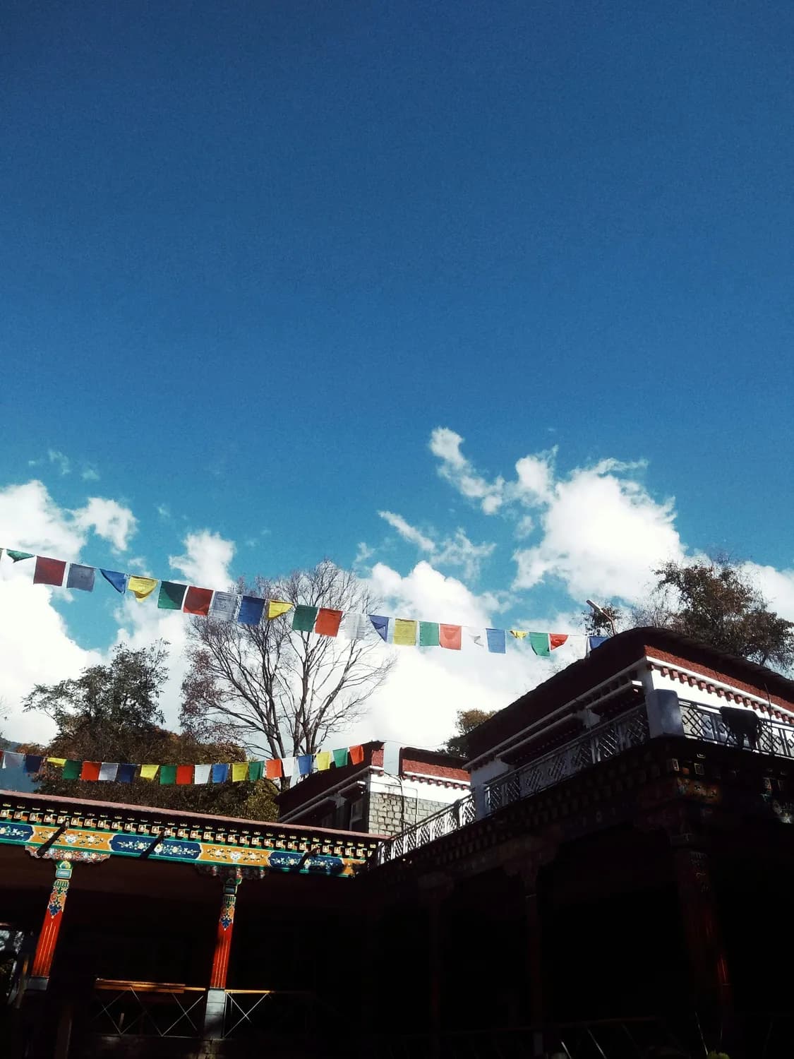 西宁市秋季旅游攻略：金秋时节的诗画之旅