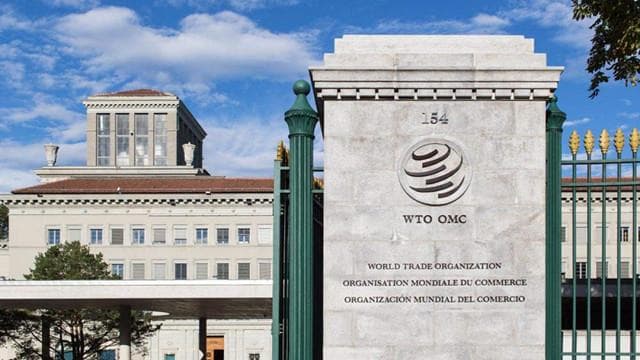WTO报告：贸易在缩小经济体间收入差距方面发挥至关重要的作用