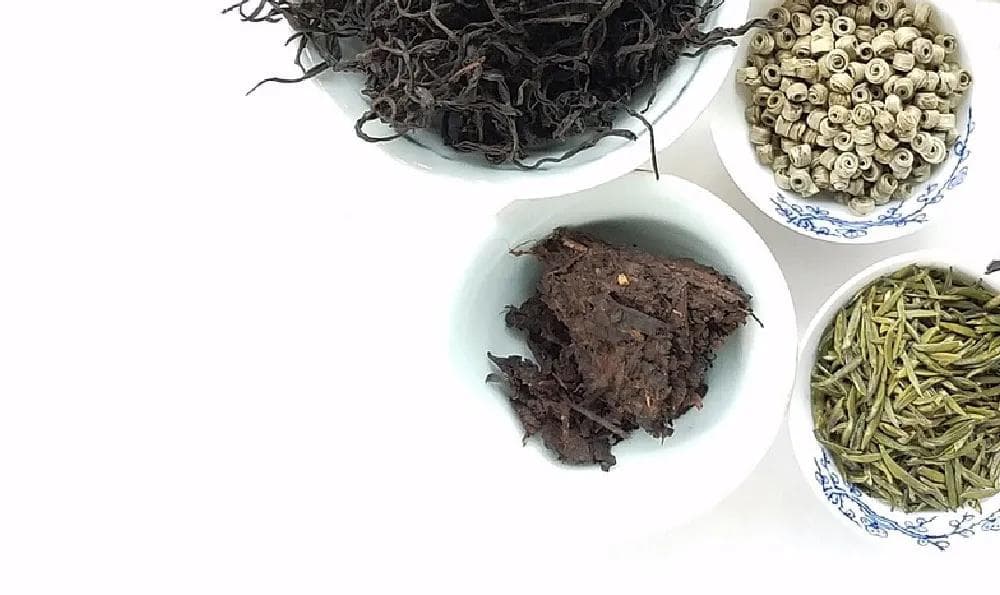 五味子灵芝绝配（灵芝能泡水喝吗）
