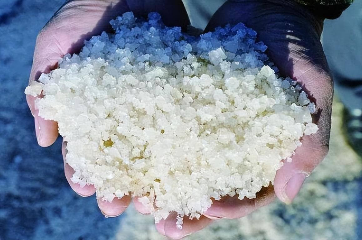 海水为何不能直接饮用？两个瓶子竟能将海水转化为淡水，原理揭秘