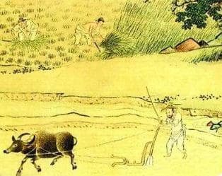 摊丁入亩：一项具有深远历史意义的改革