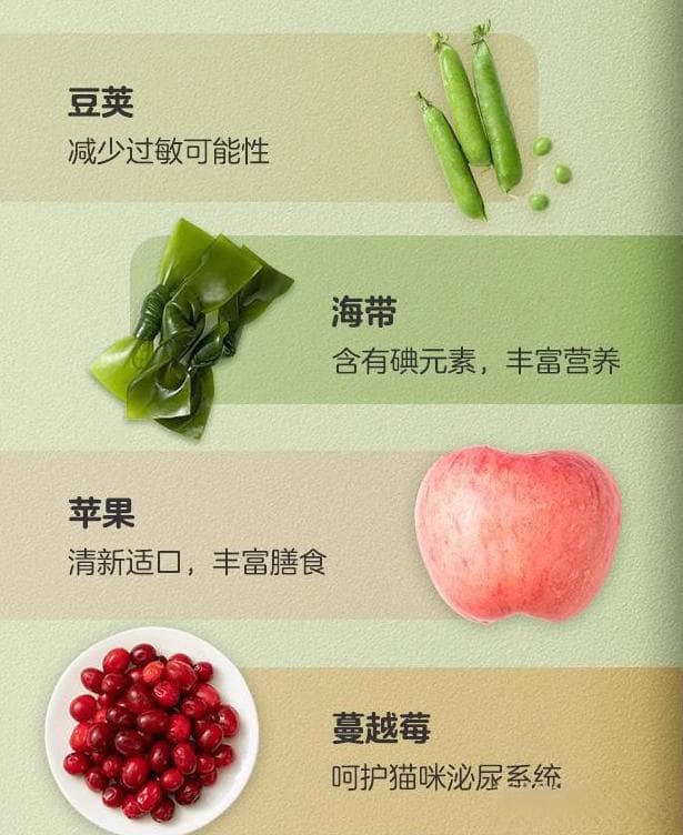 小猫咪基本喂养指南