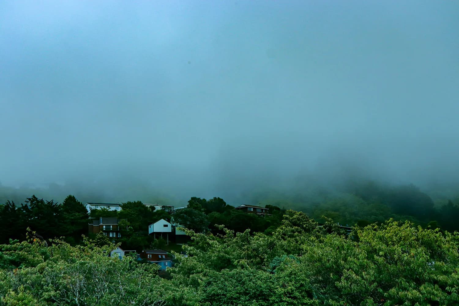 《情醉江南雨》：一首歌里的诗意江南