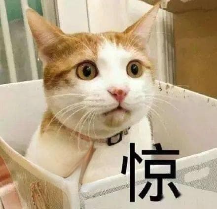 职高生也能考本科！这些升学途径你知道吗？