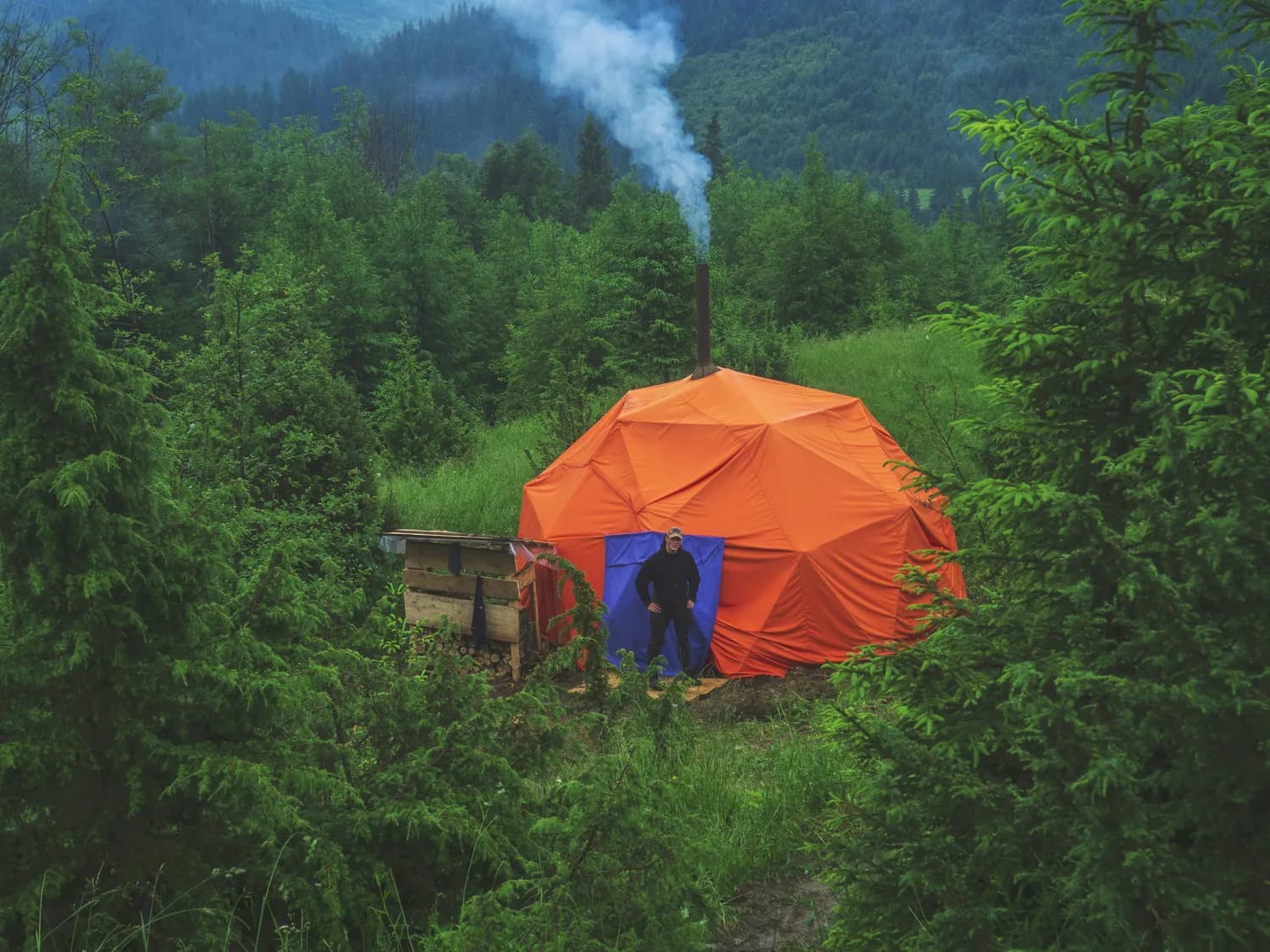 《去有花的地方》：在追花之旅中寻找内心的自由