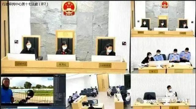 法学教授告深圳交警赢了？实则非教授身份，败诉终局！