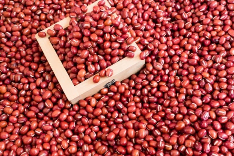 红豆：营养价值与食用指南