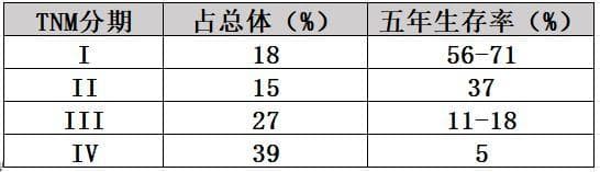 胃癌常用化疗及靶向药物一文整理！