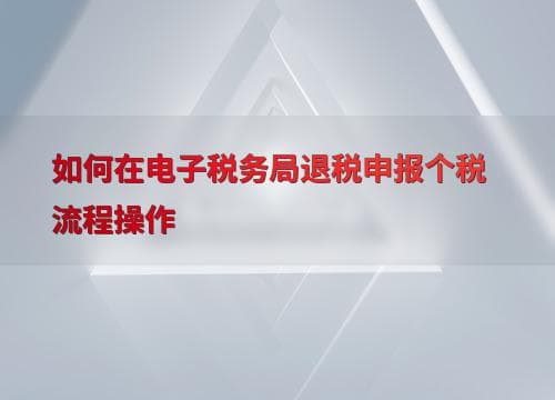 电子税务局个税退税申报全流程指南