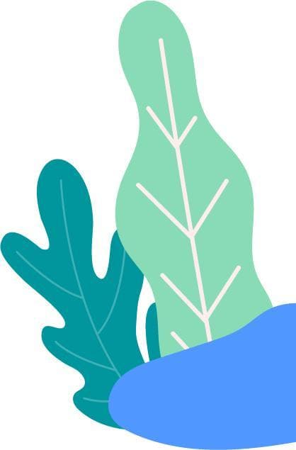 2024届师范类高校毕业生就业行动指南