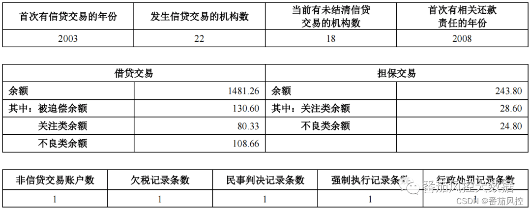 企业人行征信报告的全面梳理与数据介绍