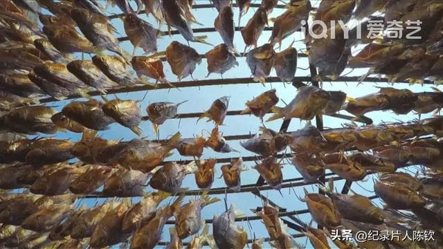 《寻味顺德》：探寻美食之都的前世今生