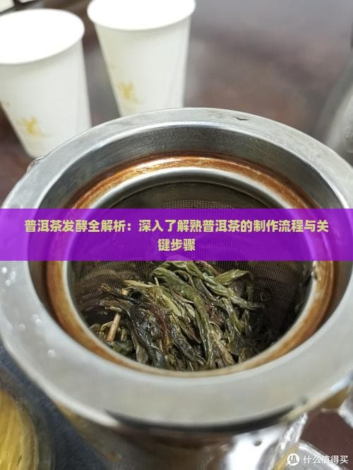 普洱茶发酵全解析：深入理解熟普洱茶的制作流程与关键步骤