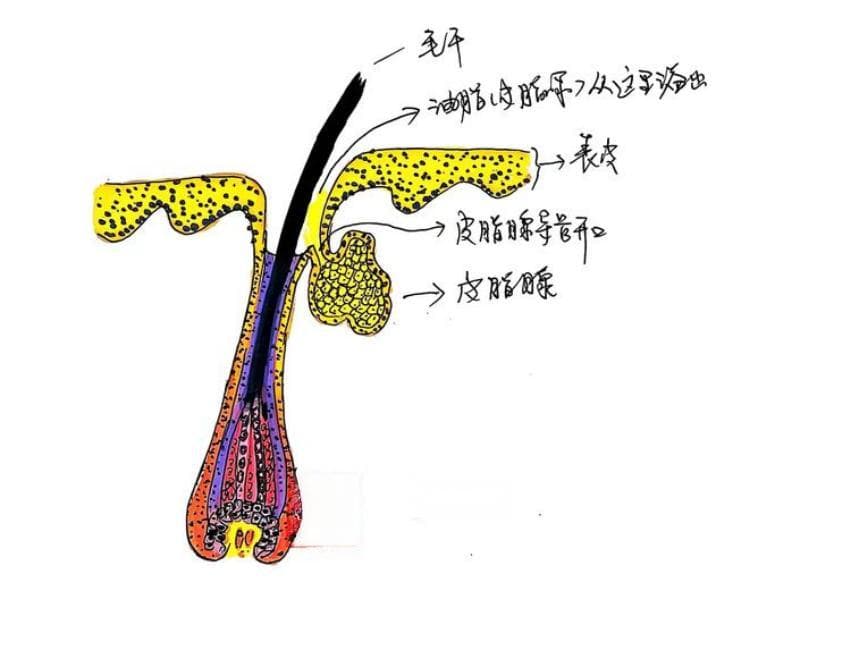 寒假斗“痘”计——从“痘”你玩，到“痘”你完