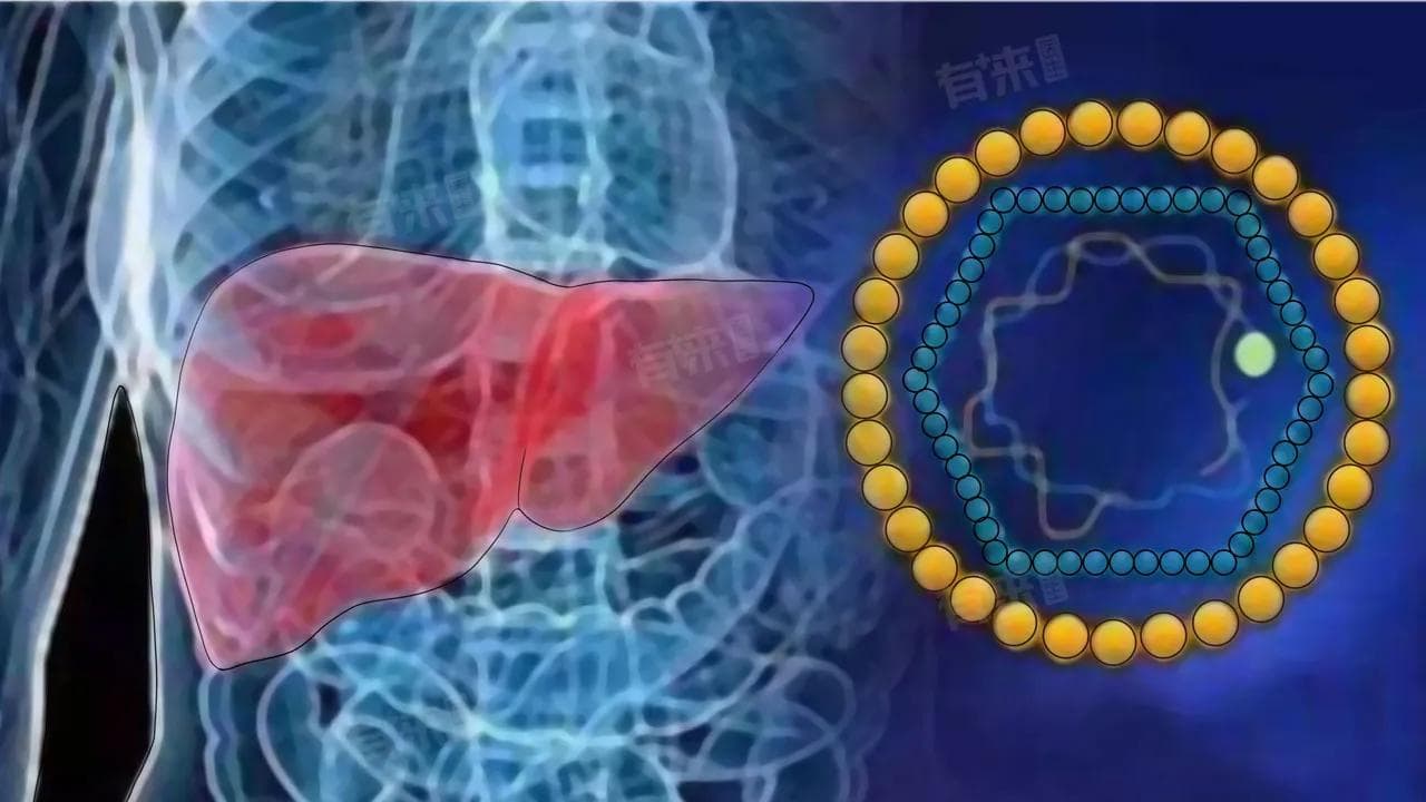 乙肝表面抗体很高说明什么