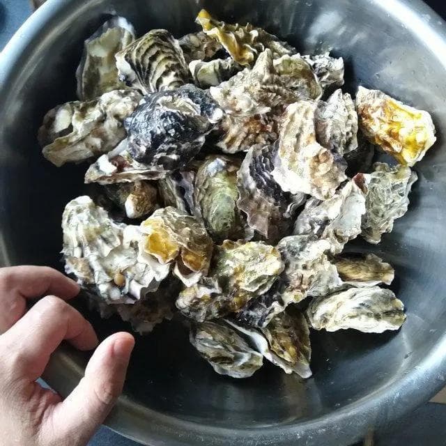 蒜蓉生蚝家常秘籍：开渔季的美味加料，轻松上手！